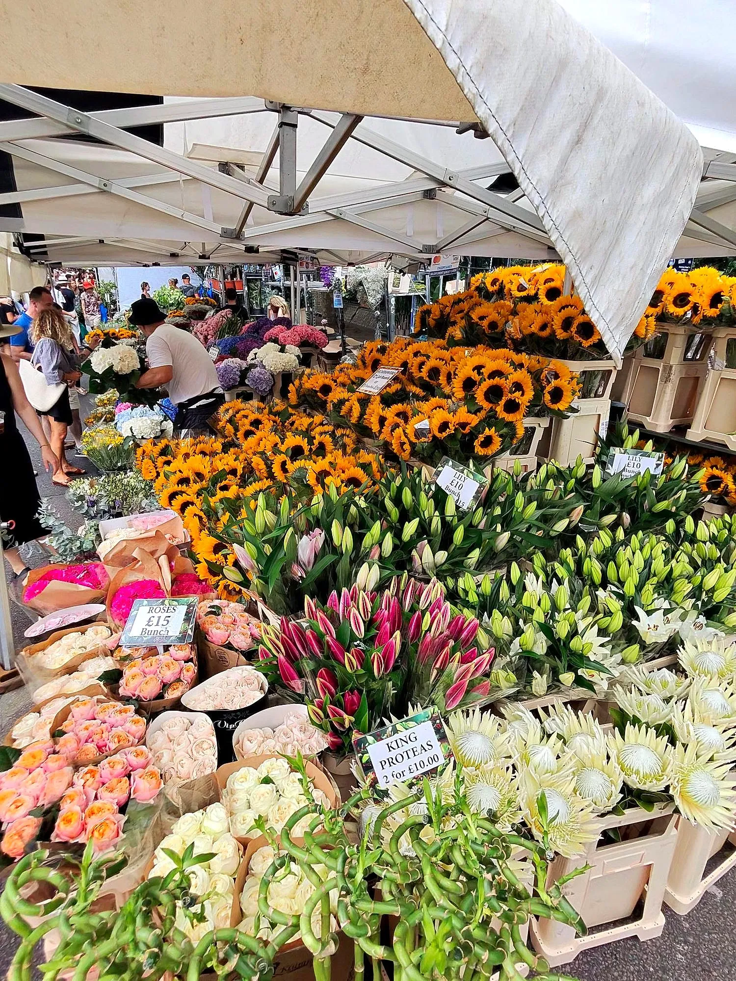 Domingo · Columbia Road Flower Market